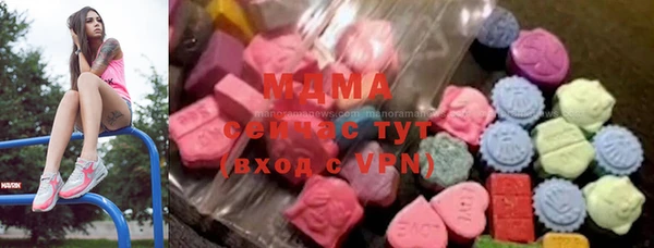индика Краснотурьинск