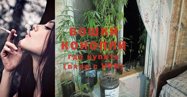 индика Краснотурьинск