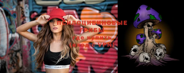 индика Краснотурьинск
