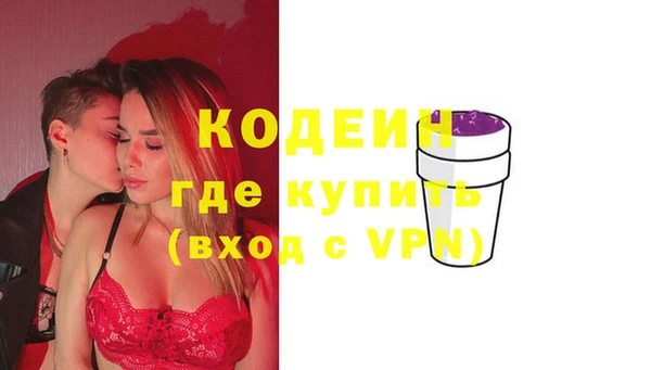 индика Краснотурьинск