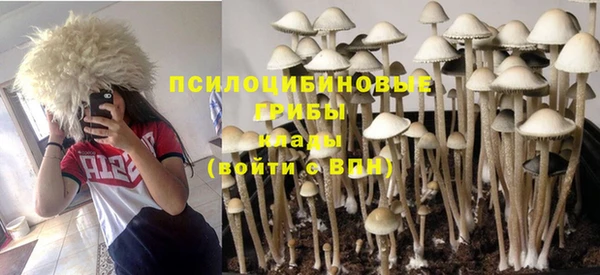 СК Краснослободск