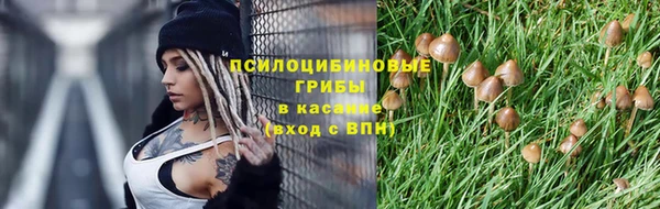 ешки Красноперекопск