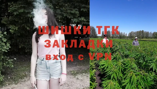 индика Краснотурьинск