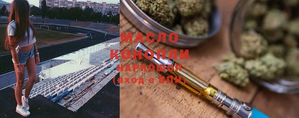 индика Краснотурьинск