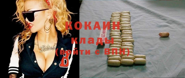 индика Краснотурьинск