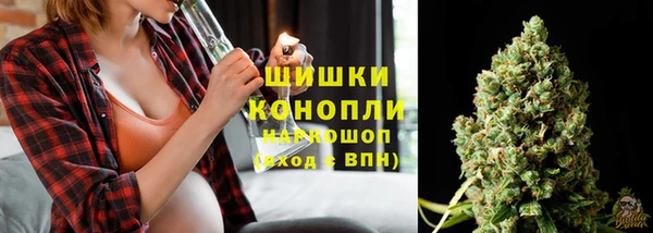 индика Краснотурьинск