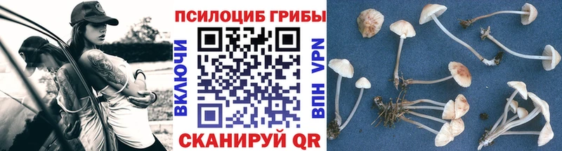 где купить наркотик  Красноуральск  Галлюциногенные грибы Magic Shrooms 